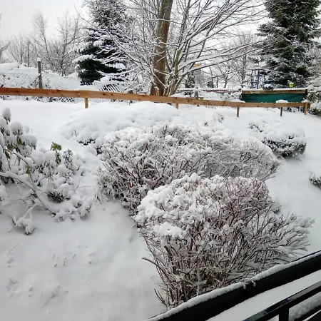 Charlotte Apartament